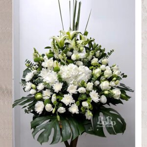 白綠菊花牌