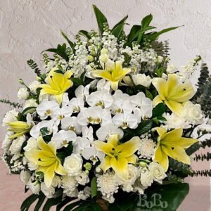 白百合花牌