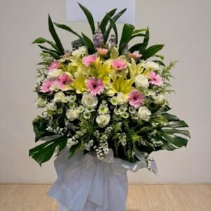 粉非洲菊黃百合花牌