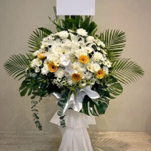 白玫瑰橙非洲菊花牌